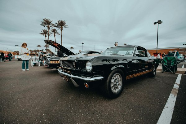 Comparaison : Suzuki vs Yamaha